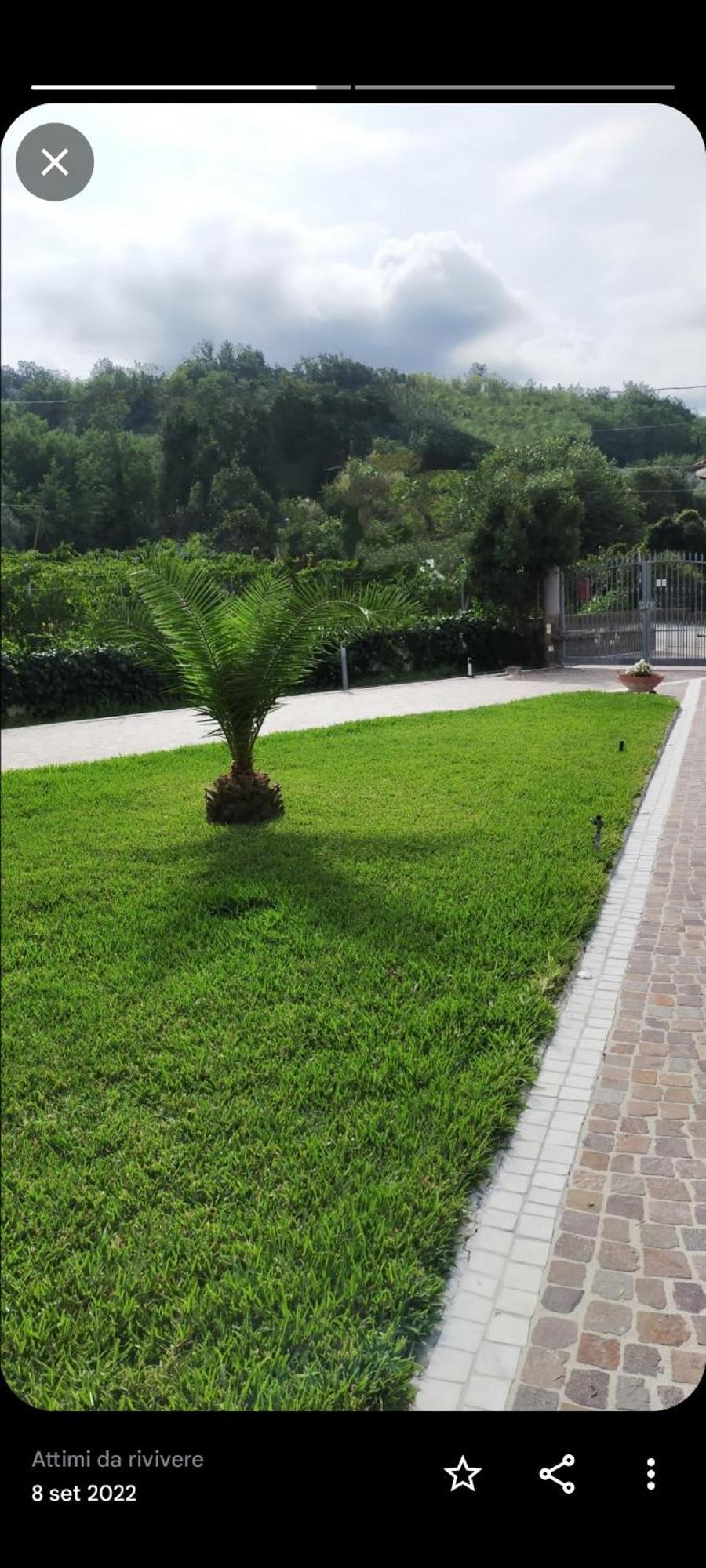 メリッツァーノ Al Boschetto Bed & Breakfast エクステリア 写真