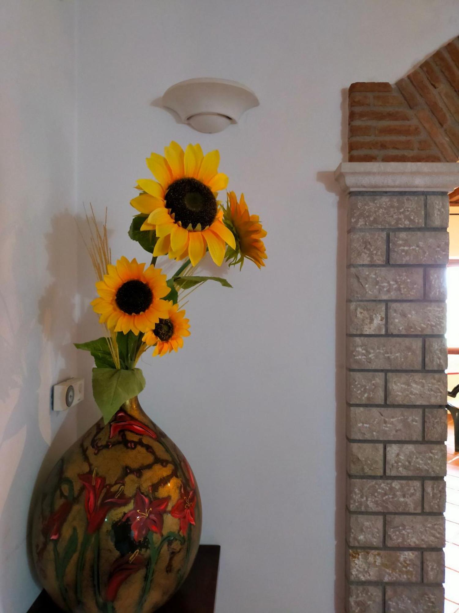 メリッツァーノ Al Boschetto Bed & Breakfast エクステリア 写真