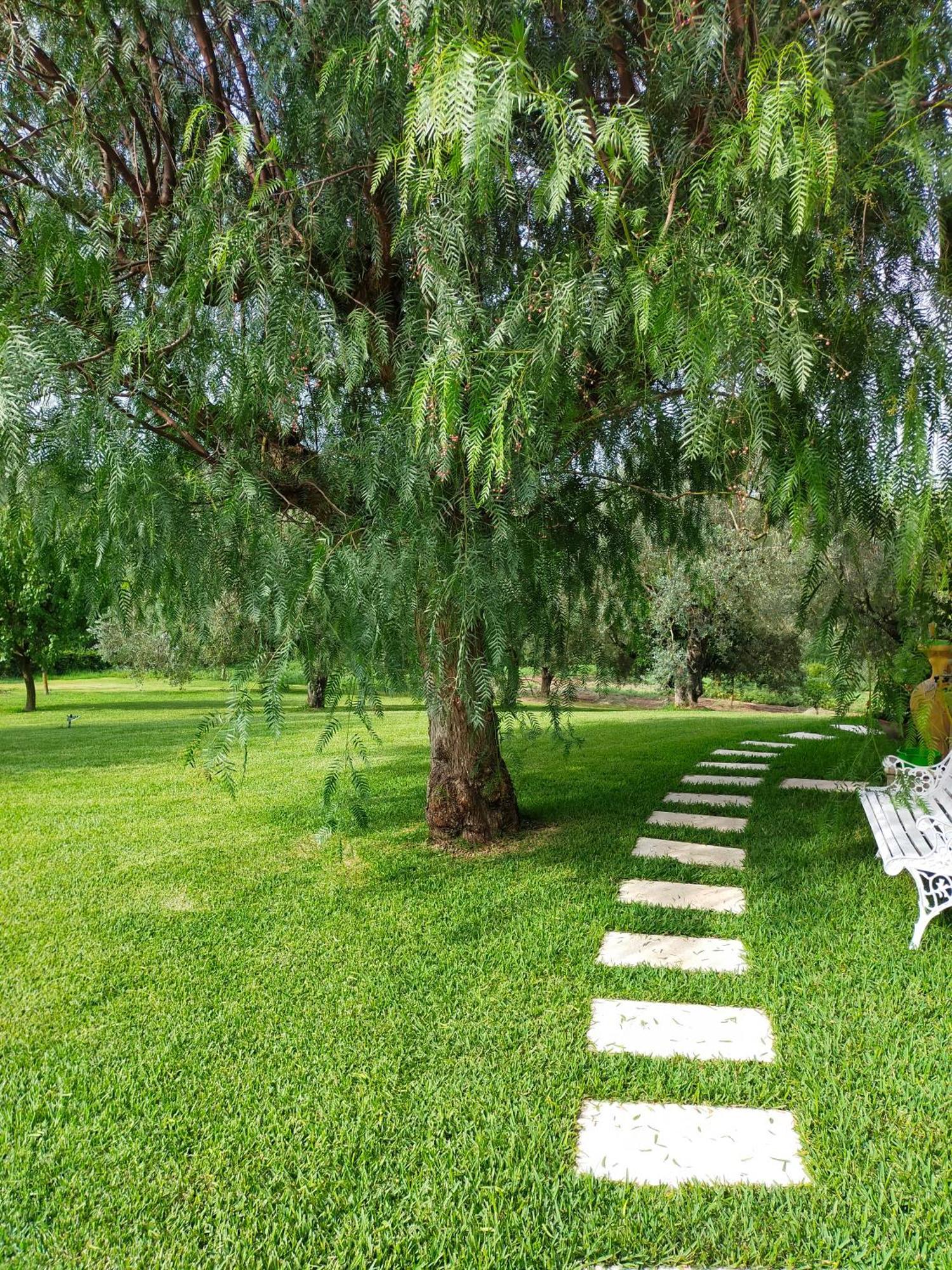 メリッツァーノ Al Boschetto Bed & Breakfast エクステリア 写真