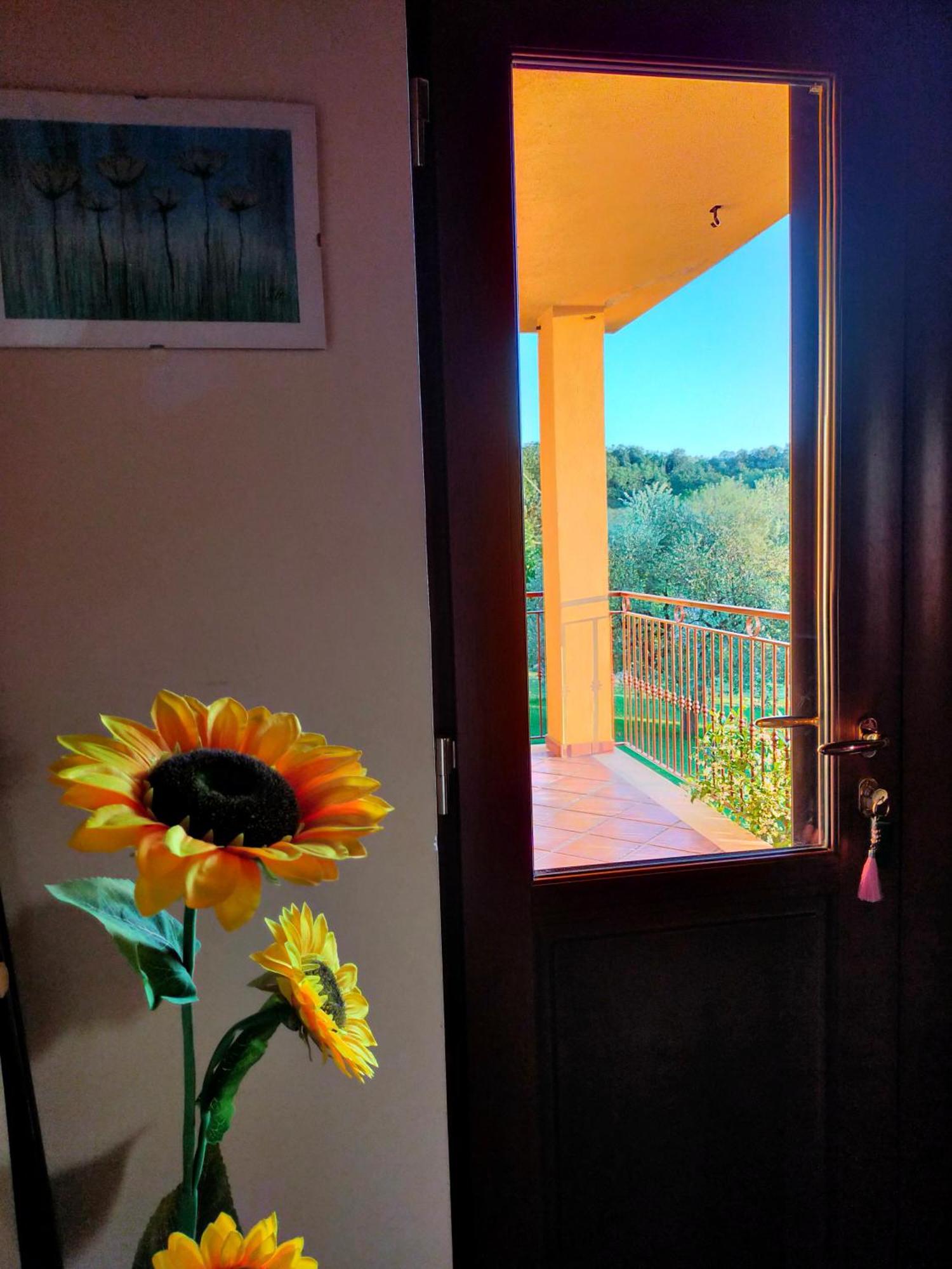 メリッツァーノ Al Boschetto Bed & Breakfast エクステリア 写真